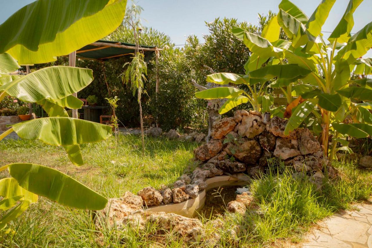 Harmony Corfu Apartments & Studios Bagian luar foto