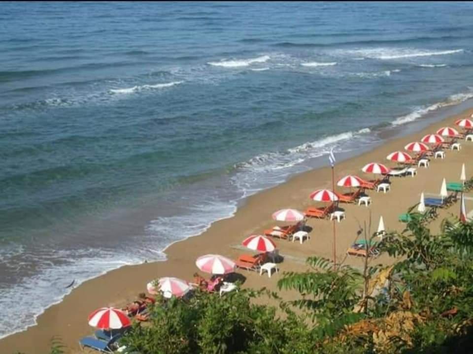 Harmony Corfu Apartments & Studios Bagian luar foto