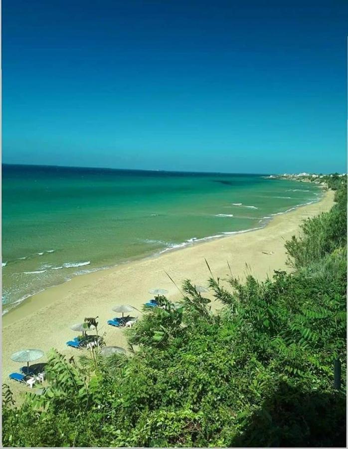 Harmony Corfu Apartments & Studios Bagian luar foto