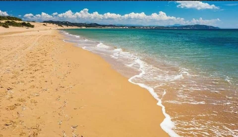 Harmony Corfu Apartments & Studios Bagian luar foto