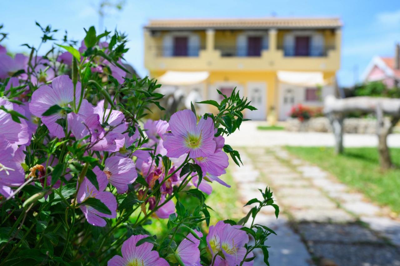 Harmony Corfu Apartments & Studios Bagian luar foto
