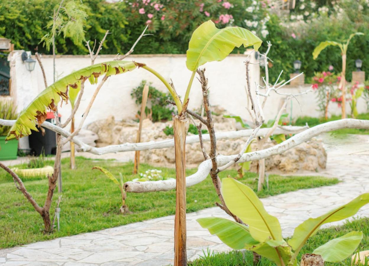Harmony Corfu Apartments & Studios Bagian luar foto